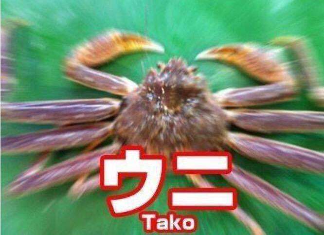 ゆるい･脱力系の画像を貼ってって～