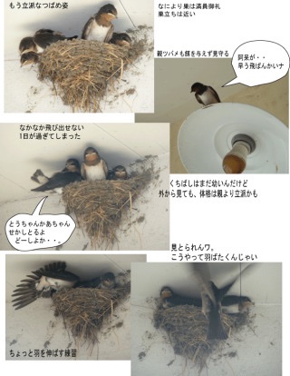 【画像】可愛い動物が溜まりに溜まるトピ