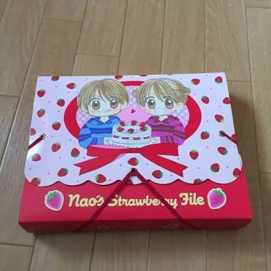 りぼん思い出の付録!