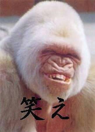 SMAP木村拓哉 解散の