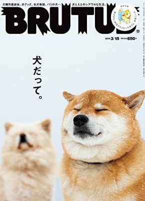本・雑誌の表紙トピ