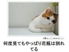 思わず二度見！不思議画像集まれ！