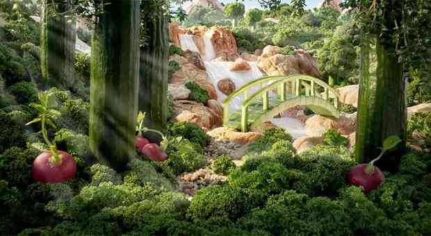 思わず二度見！不思議画像集まれ！