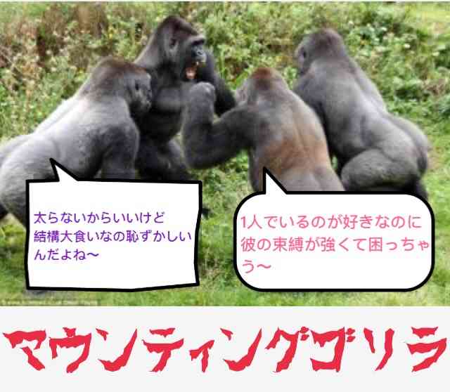 思わず二度見！不思議画像集まれ！