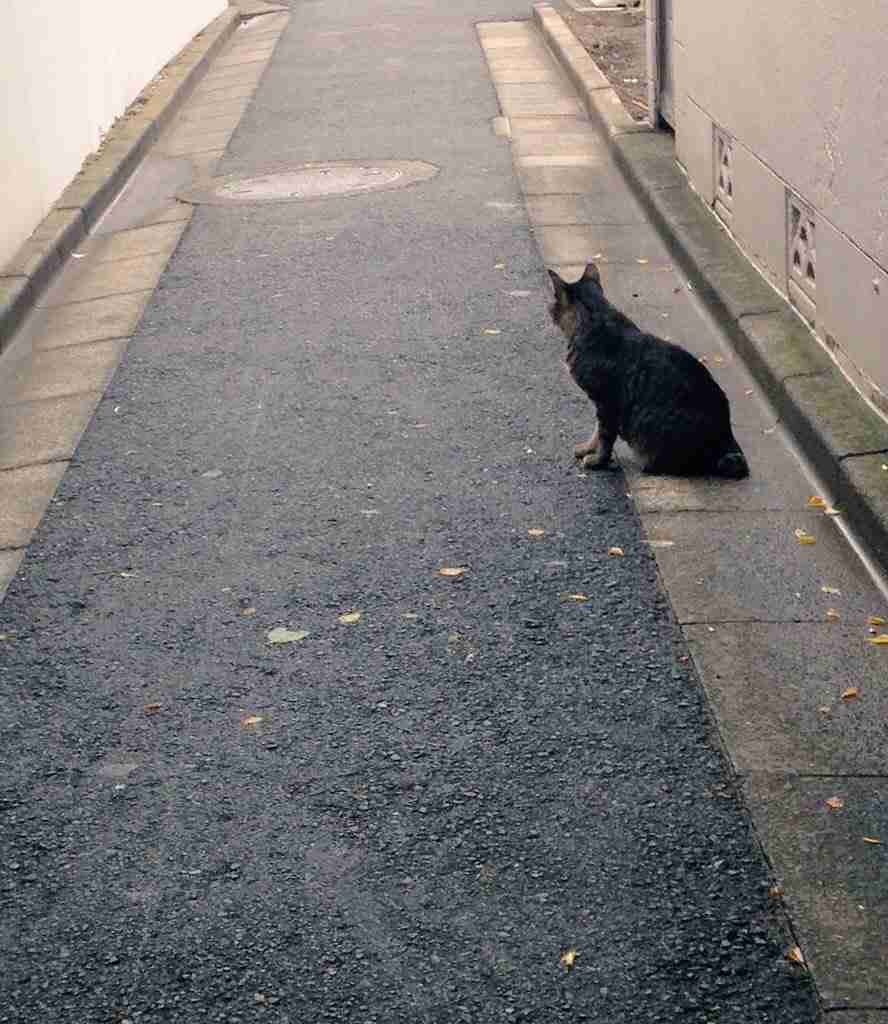 あなたの趣味なんですか?