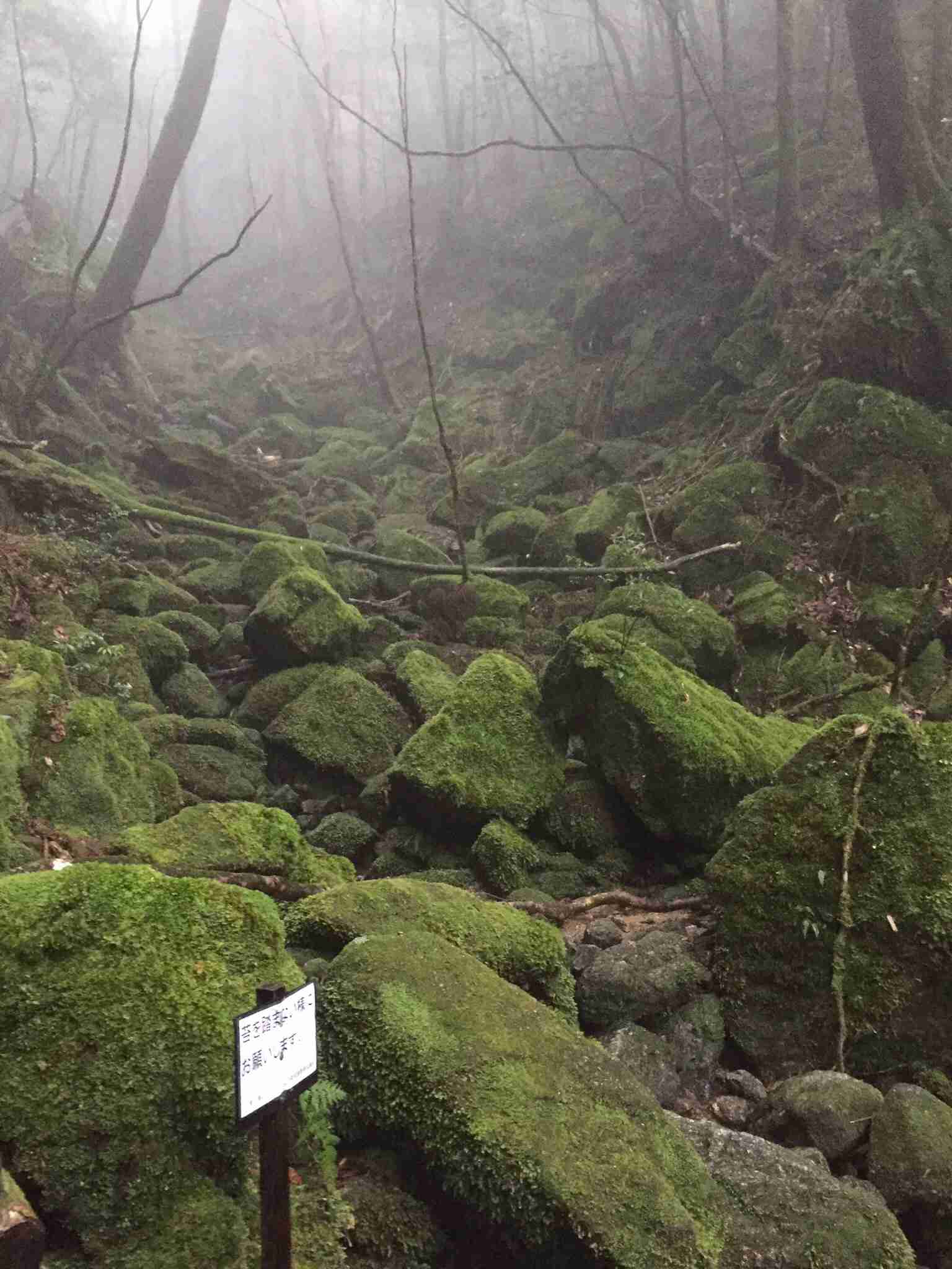 あなたの趣味なんですか?