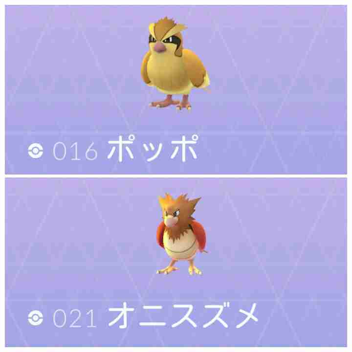 ペットとして飼いたいポケモン