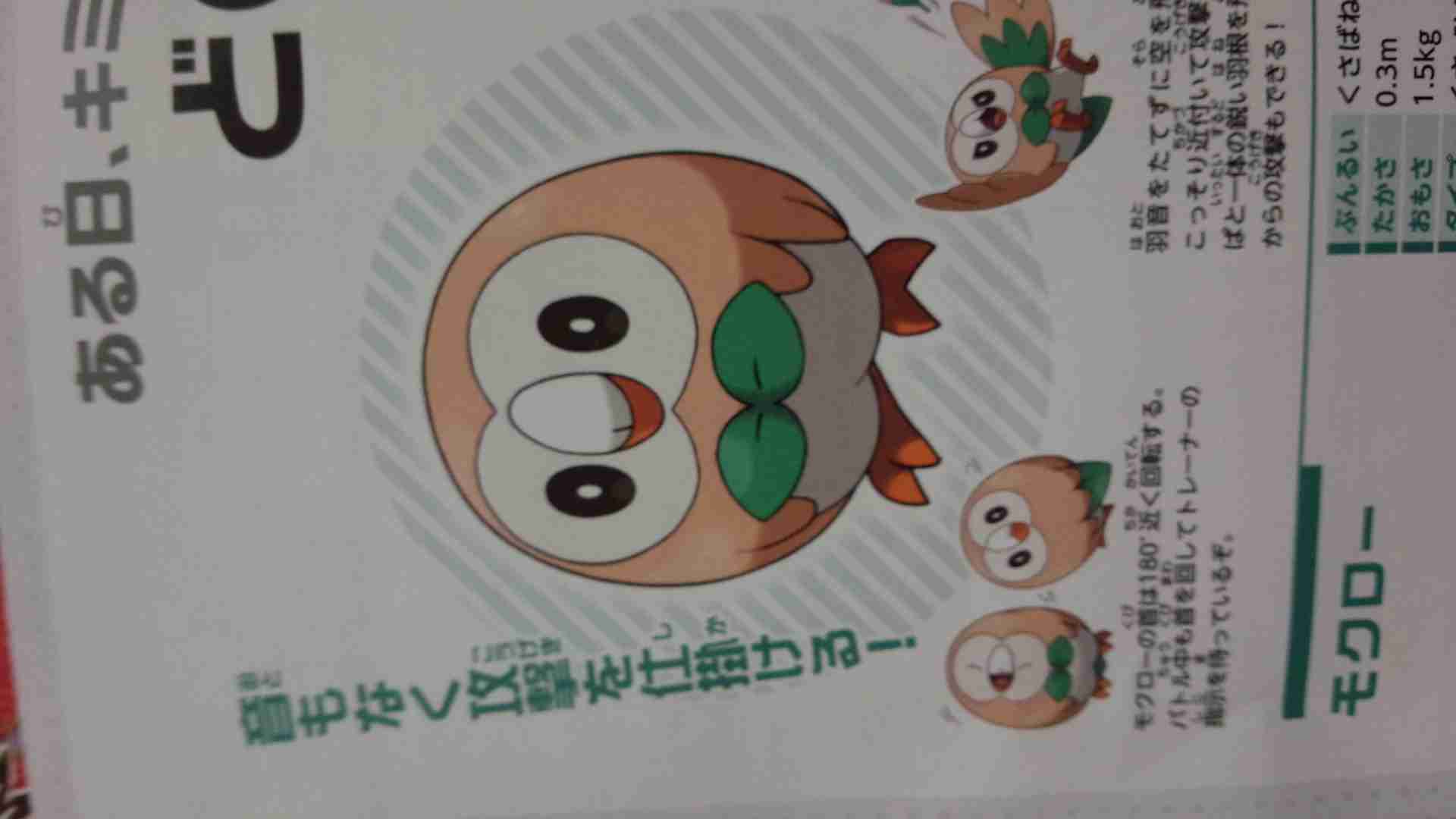 ペットとして飼いたいポケモン