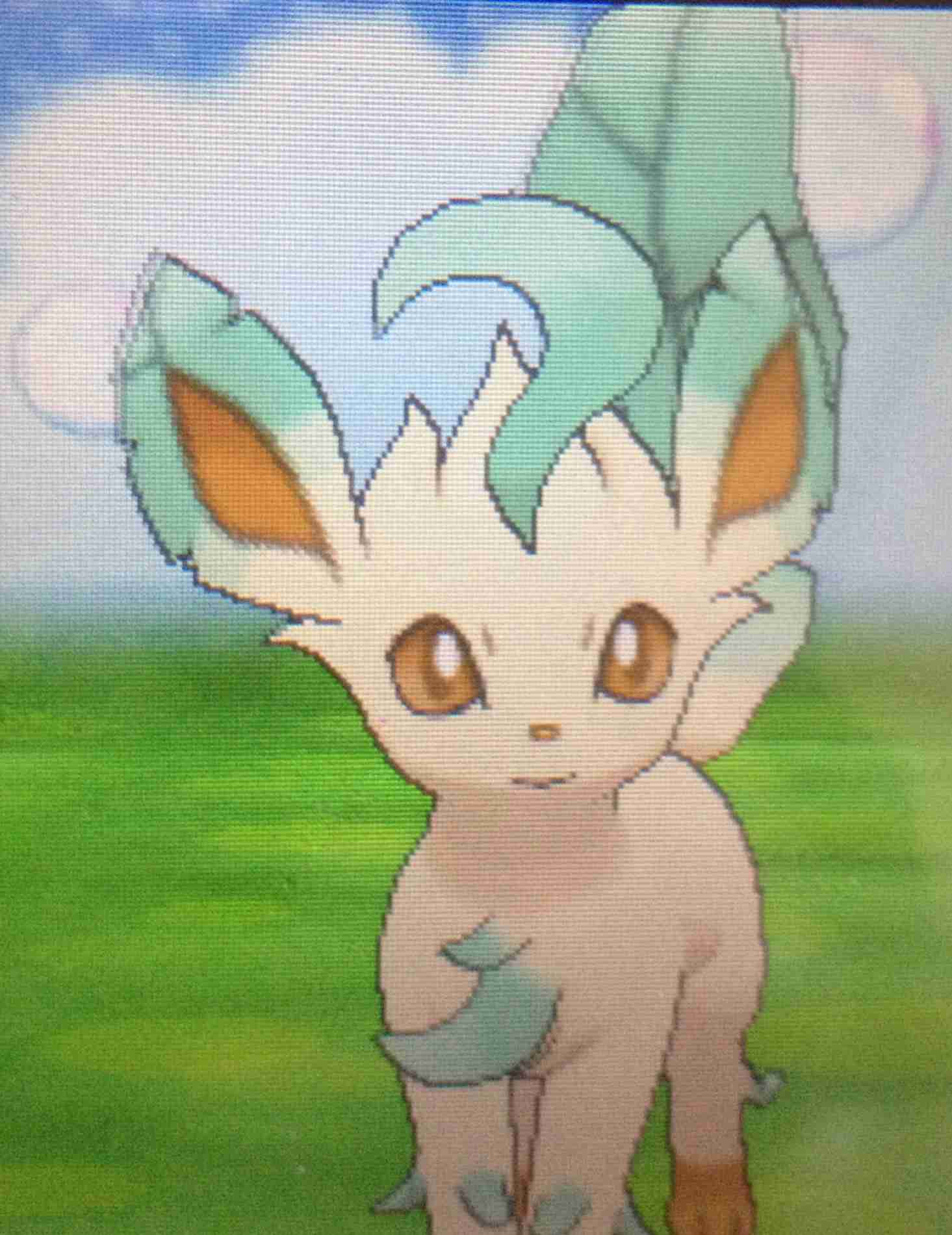ペットとして飼いたいポケモン