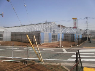 地元を思い出す画像