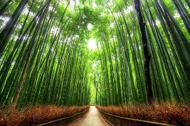 地元を思い出す画像