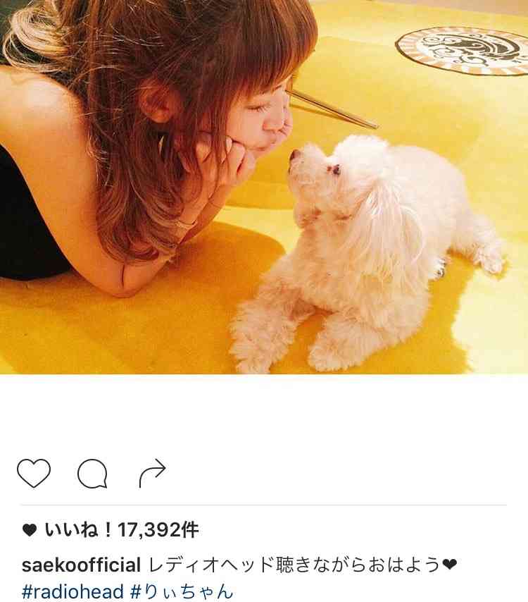 紗栄子、自宅公開で驚きの声「カフェみたい」「オシャレすぎる」