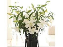 花をもらって嬉しいですか?