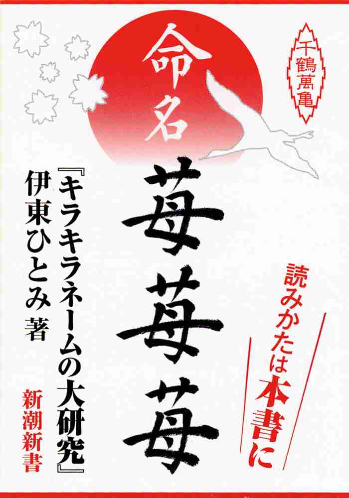美人ならキラキラネーム許される?