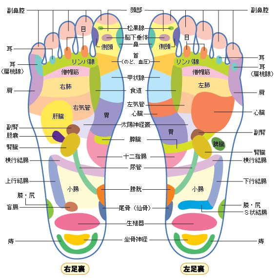青竹踏み使ってる方