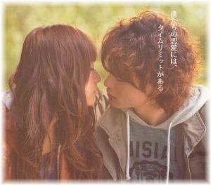 秋に観たい映画やドラマ