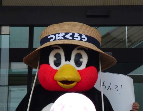 ペンギングッズの画像ください