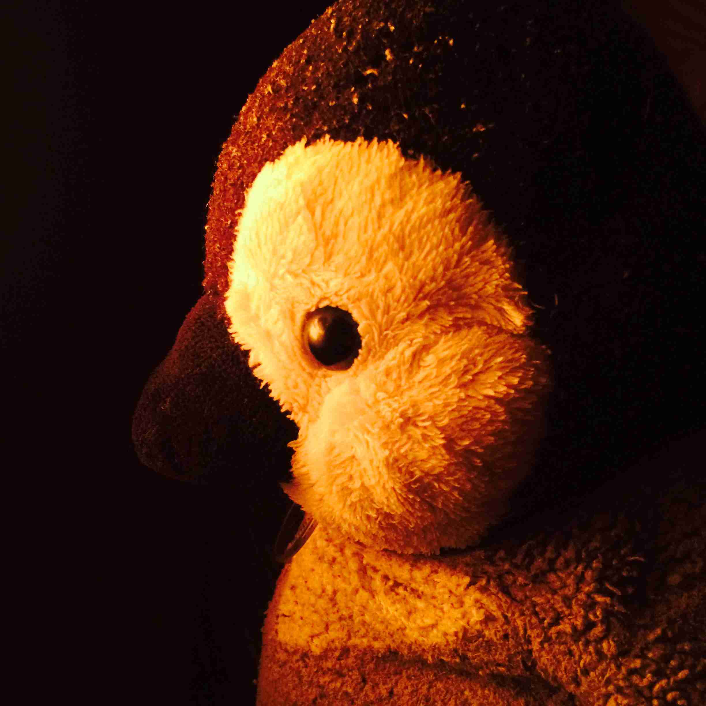 ペンギングッズの画像ください