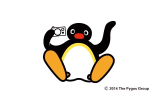 ペンギングッズの画像ください