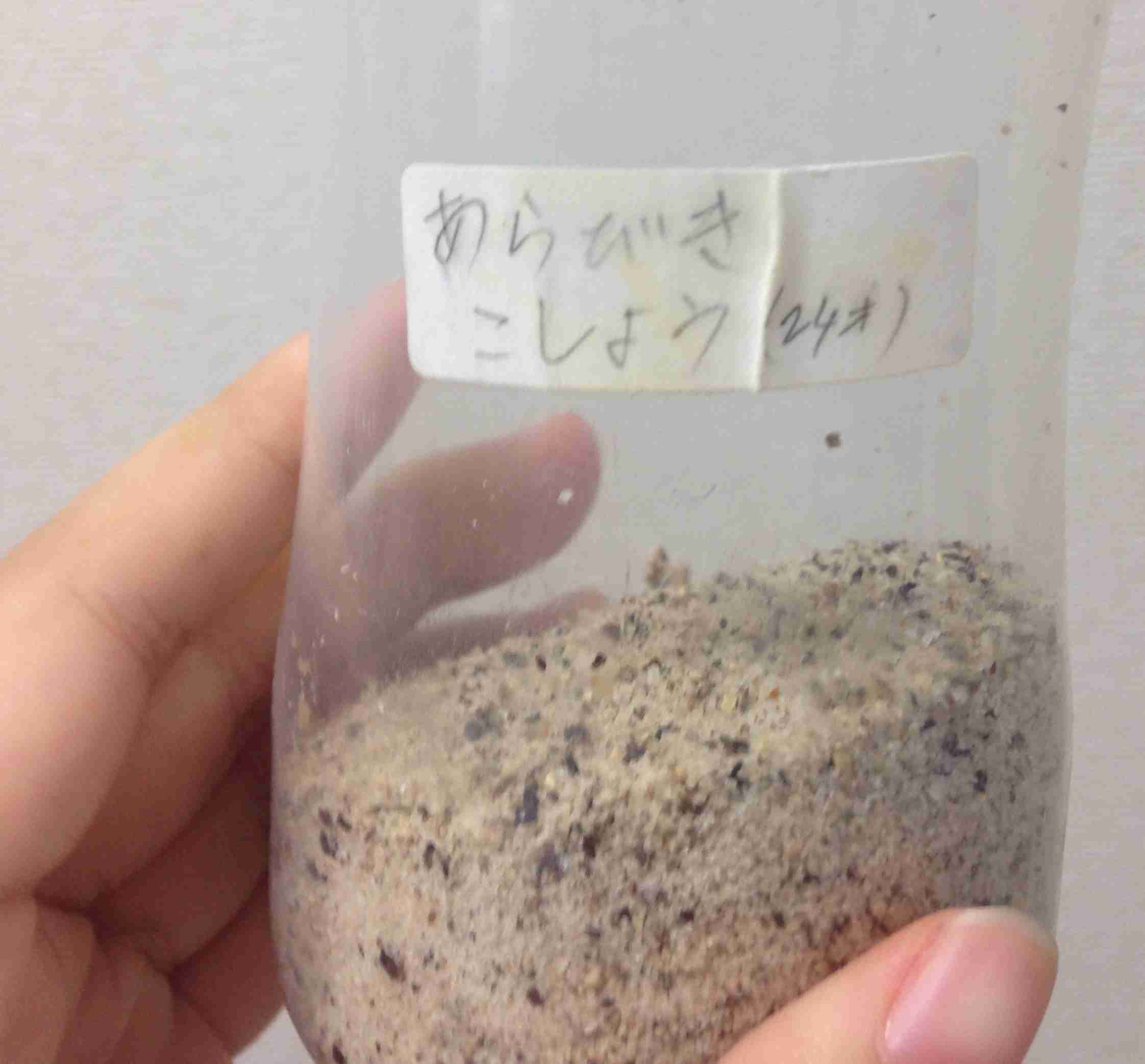 家族の謎な行動