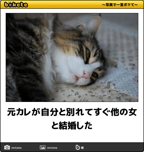 長年付き合った彼と別れてすぐ結婚した方!