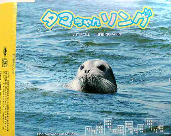 2000年代（2000年～2009年）に流行ったもの
