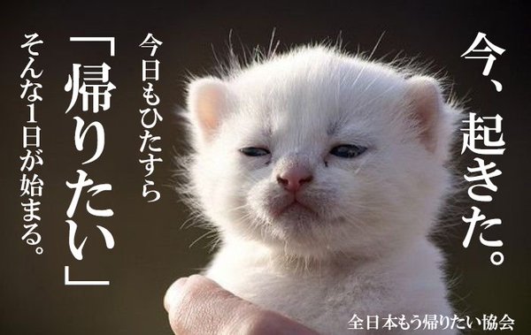 出勤前に思う事!