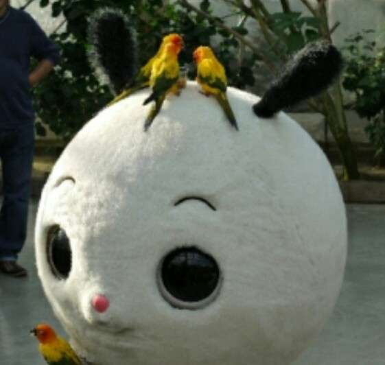 とにかく可愛い画像が集まるトピ