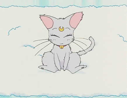 とにかく可愛い画像が集まるトピ