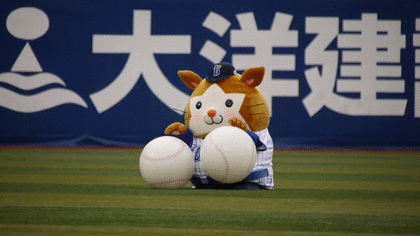 とにかく可愛い画像が集まるトピ
