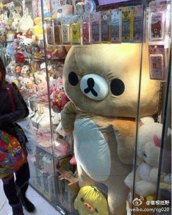 とにかく可愛い画像が集まるトピ