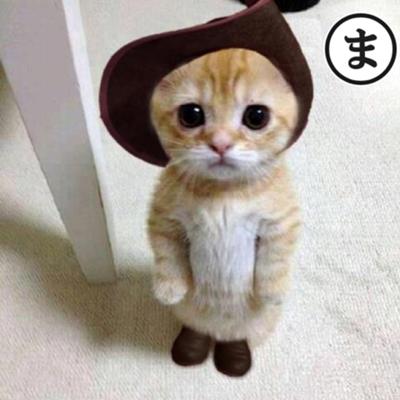 とにかく可愛い画像が集まるトピ