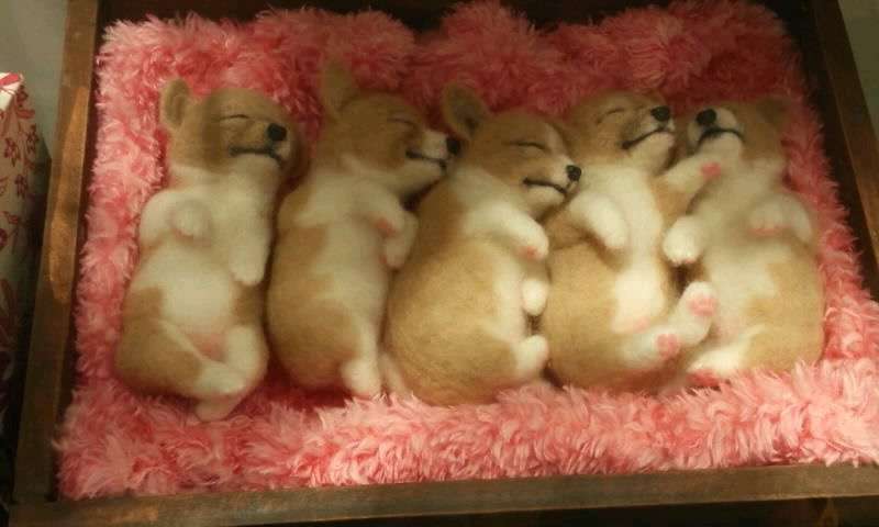 とにかく可愛い画像が集まるトピ