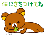 とにかく可愛い画像が集まるトピ