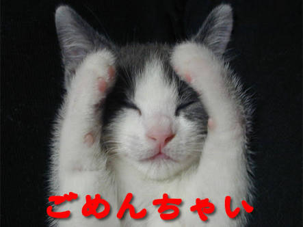 とにかく可愛い画像が集まるトピ