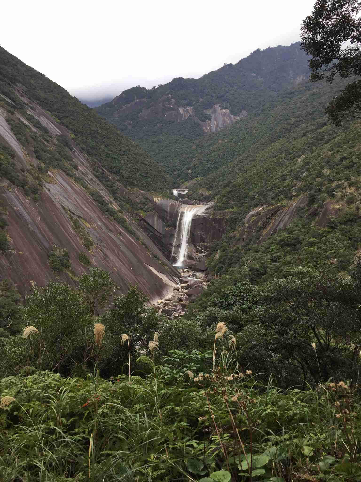 世界遺産を貼っていくトピ