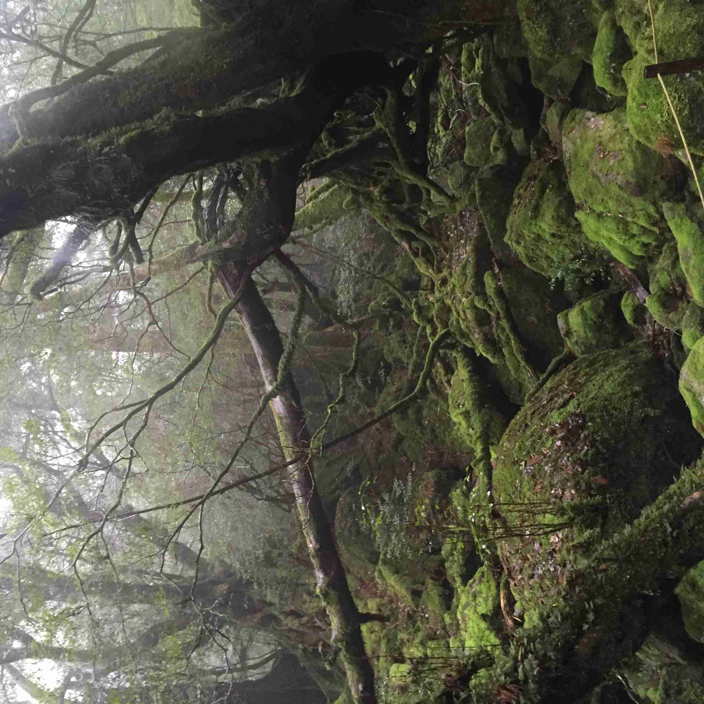 世界遺産を貼っていくトピ