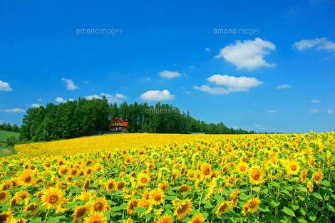 夏の北海道旅行☆