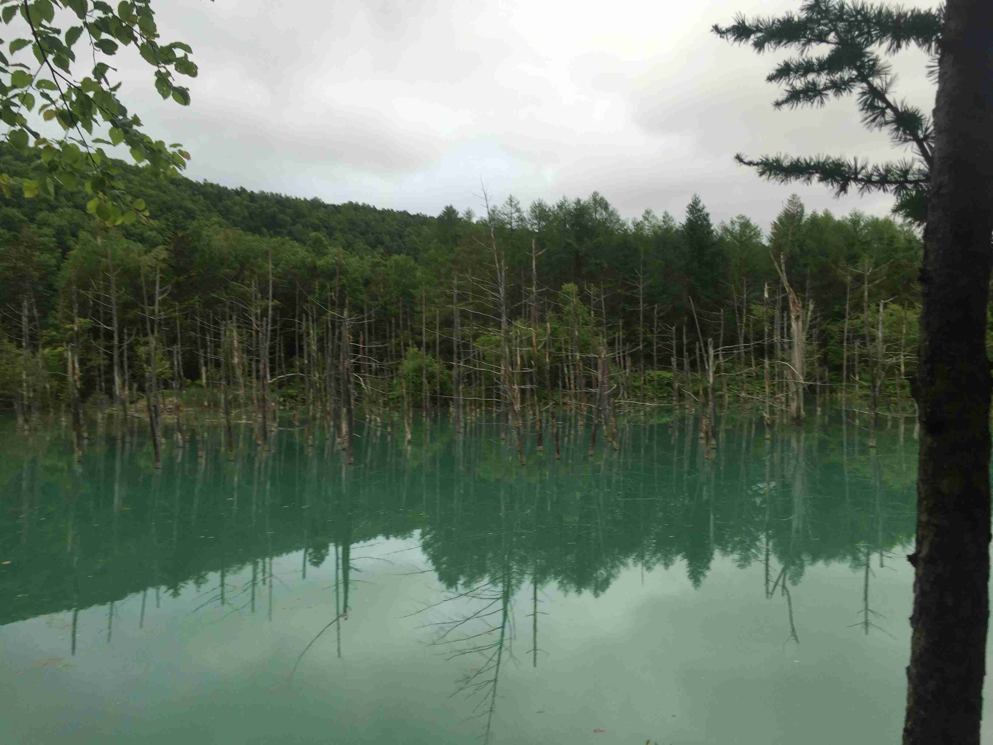 夏の北海道旅行☆