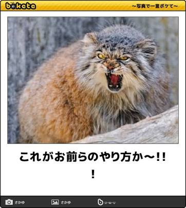 【閲覧注意？】目がチカチカする画像
