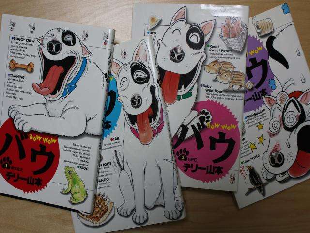マイナーな小説、漫画、絵本　知ってたらプラス