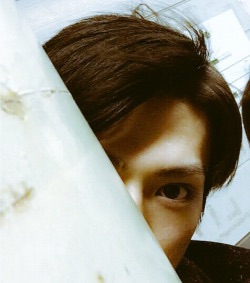 真剣佑好きな人！