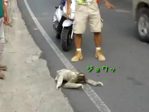ニート集合＊