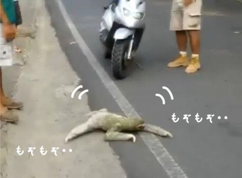ニート集合＊