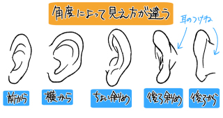 耳の形や大きさが気になってる人