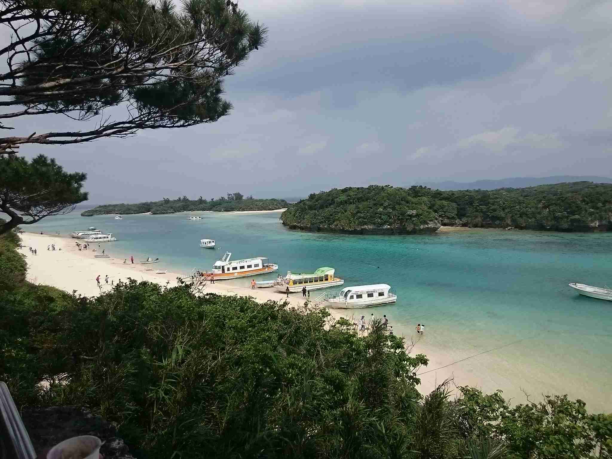 南国の画像を貼っていきましょう！