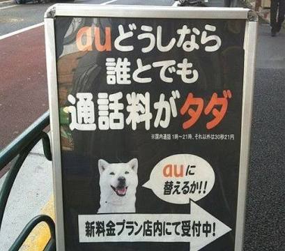 矛盾してる画像