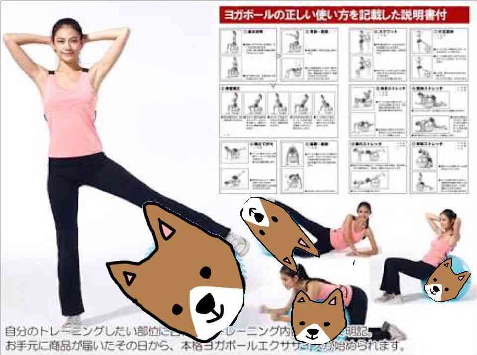 【お絵描き】犬をお散歩に連れていくトピ【コラ】