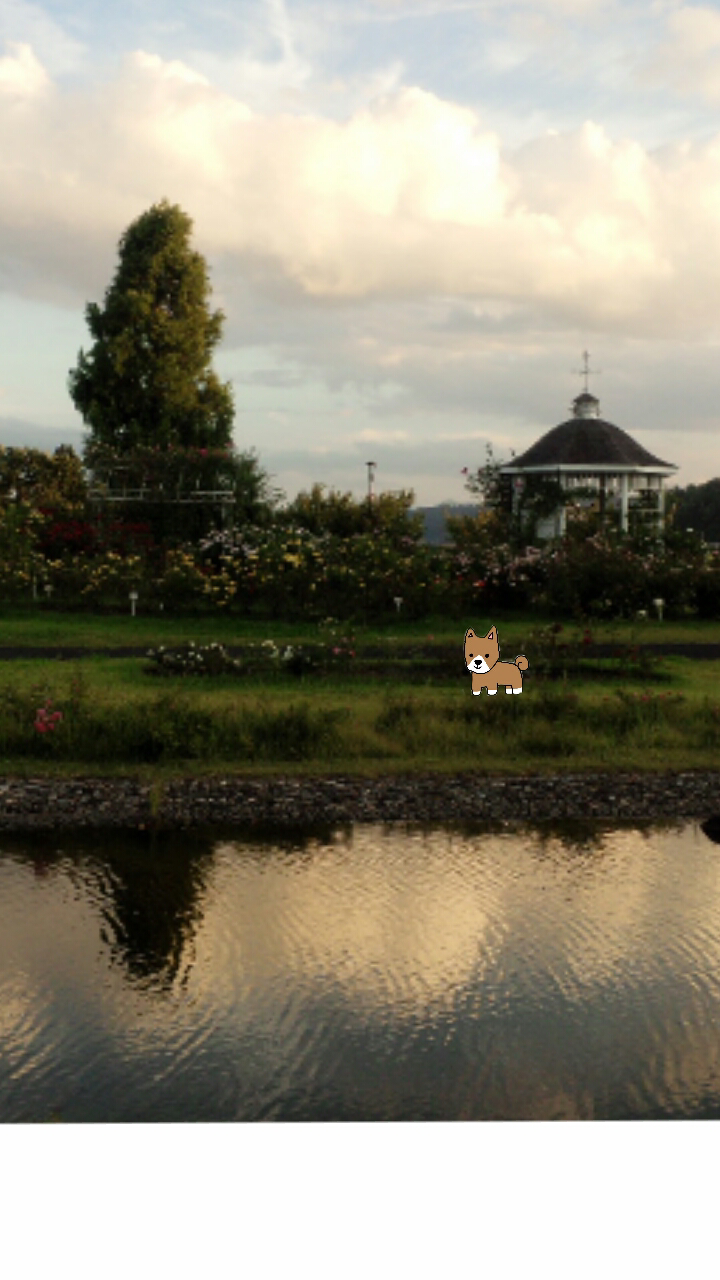 【お絵描き】犬をお散歩に連れていくトピ【コラ】