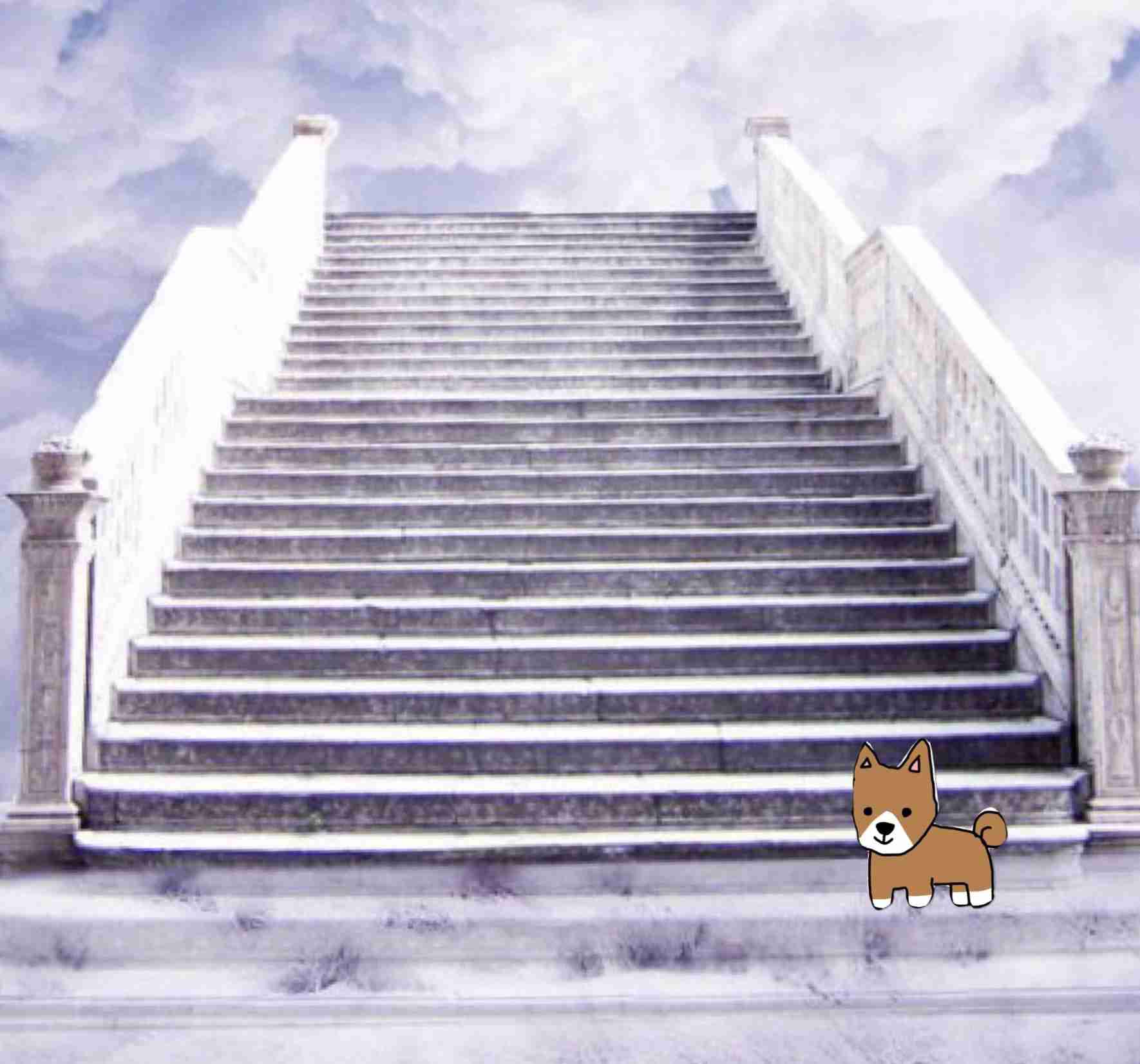 【お絵描き】犬をお散歩に連れていくトピ【コラ】